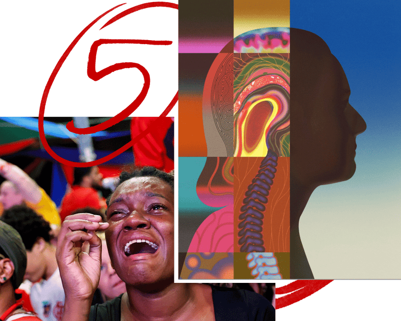 Elections, Eugenics, and High School Reunions: Five Great Reads