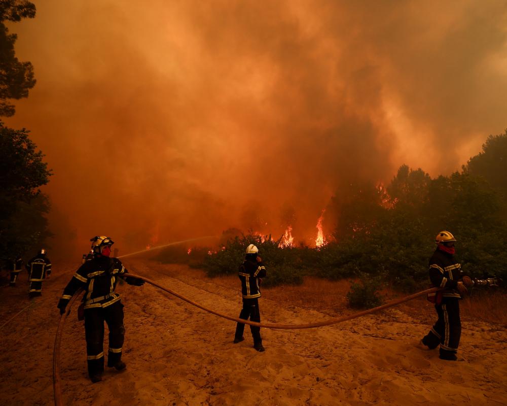 How Dangerous Are Wildfires? Tips to Stop Them From Getting Worse