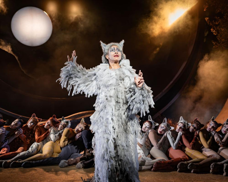 Cats Review: Jellicle Jumble in Regent's Park Revival