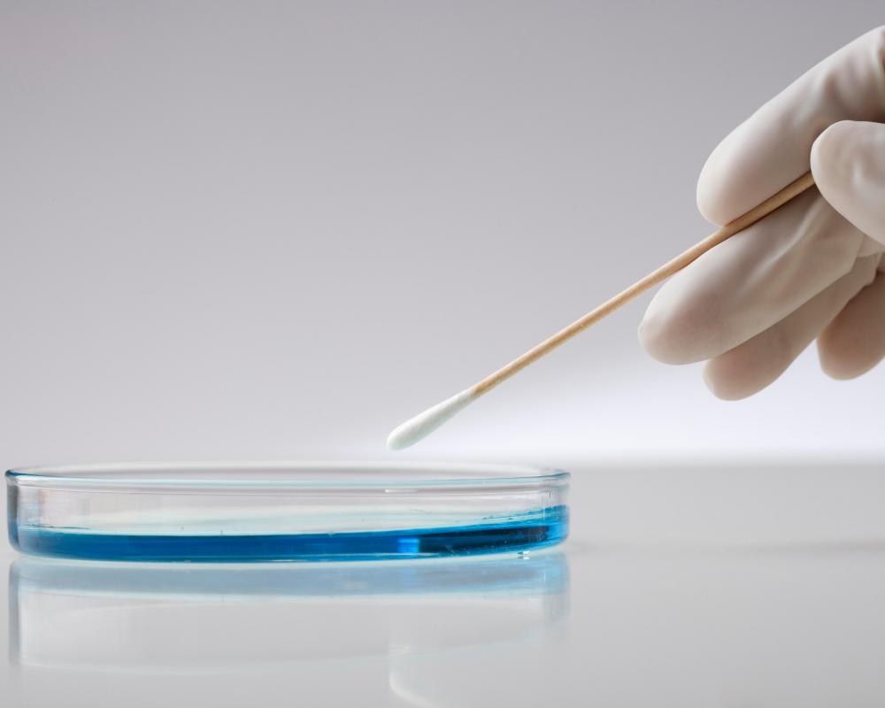 Science Funding Cuts Threaten UK Research and Innovation