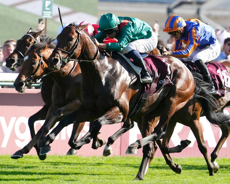 Daryz Makes History With Back-to-Back Arc de Triomphe Triumphs
