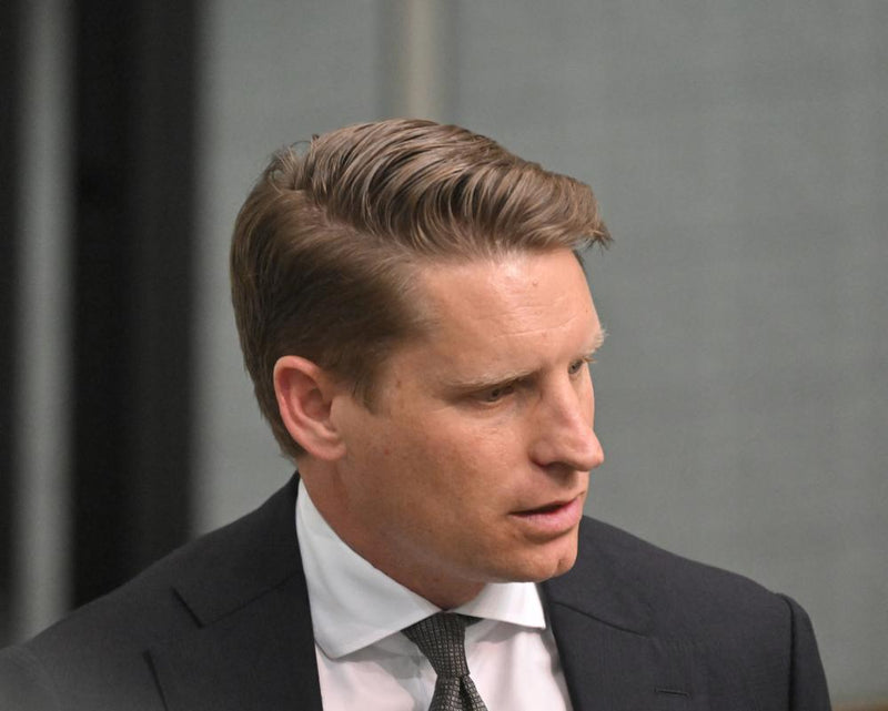 AI Advice Fail: Andrew Hastie's Copilot Reply to Assisted Dying