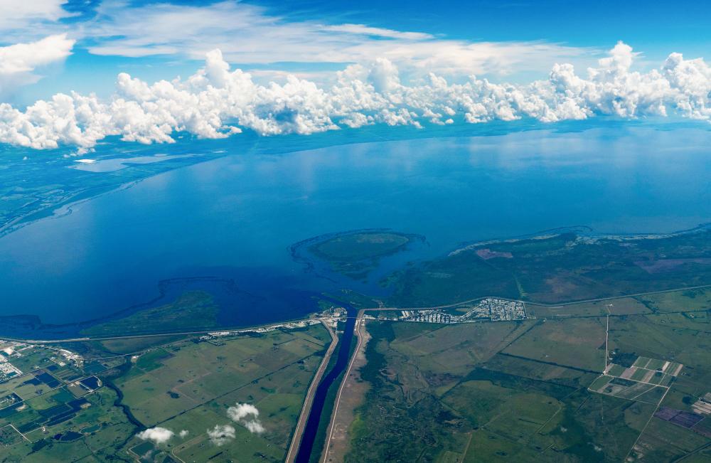 Atrazine Herbicide Contaminating 25% of US Rivers, Report Finds