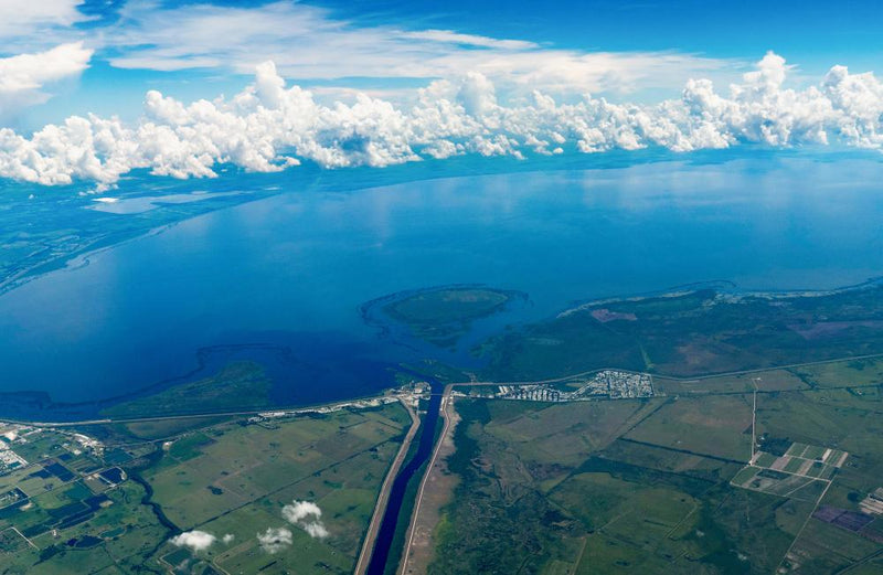 Atrazine Herbicide Contaminating 25% of US Rivers, Report Finds