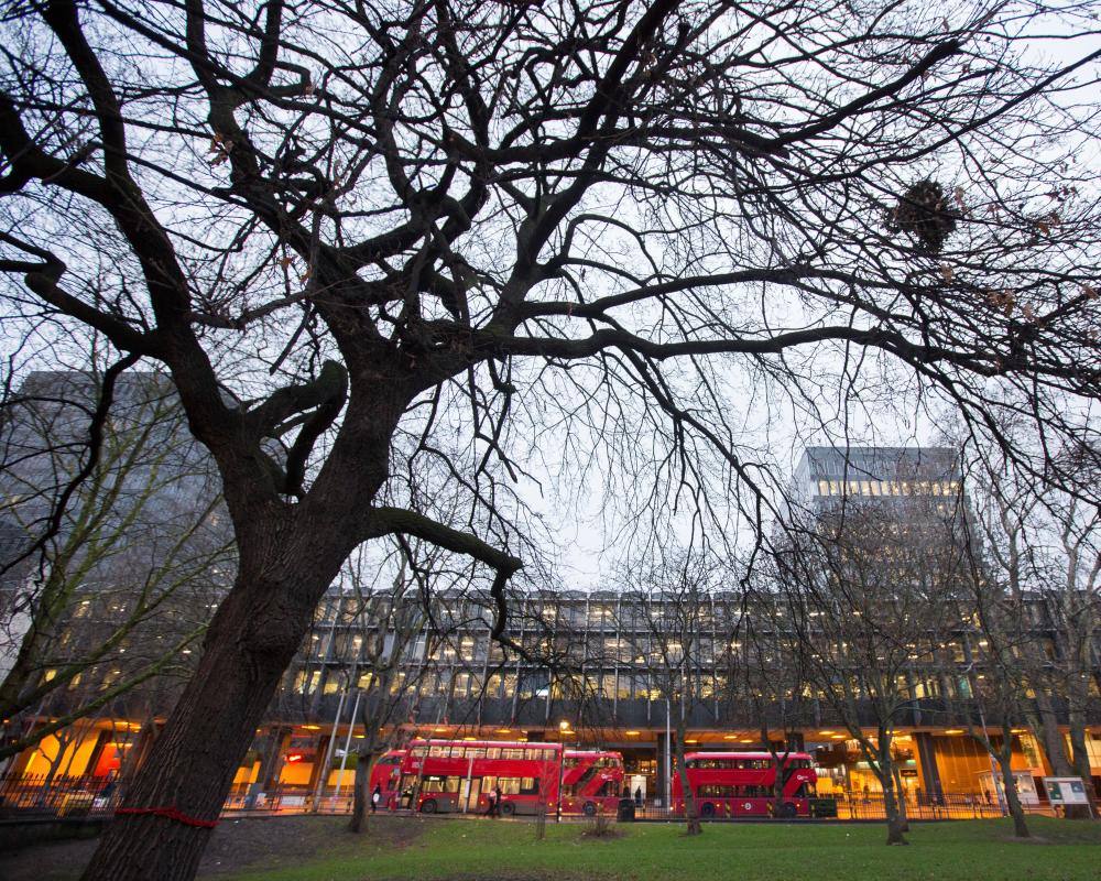 HS2 Green Space Loss: Holborn and St Pancras Byelection Impact