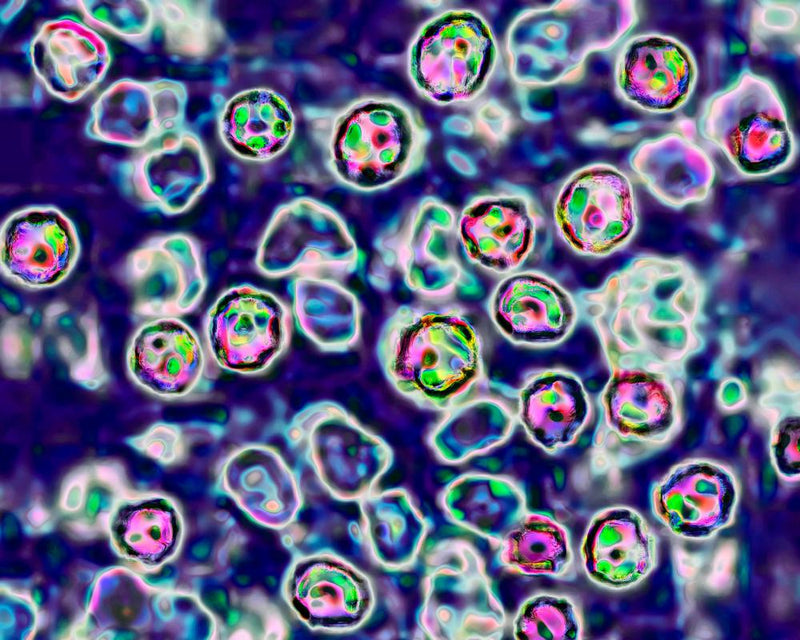 Measles Deaths in Pennsylvania Highlight Vaccine Urgency