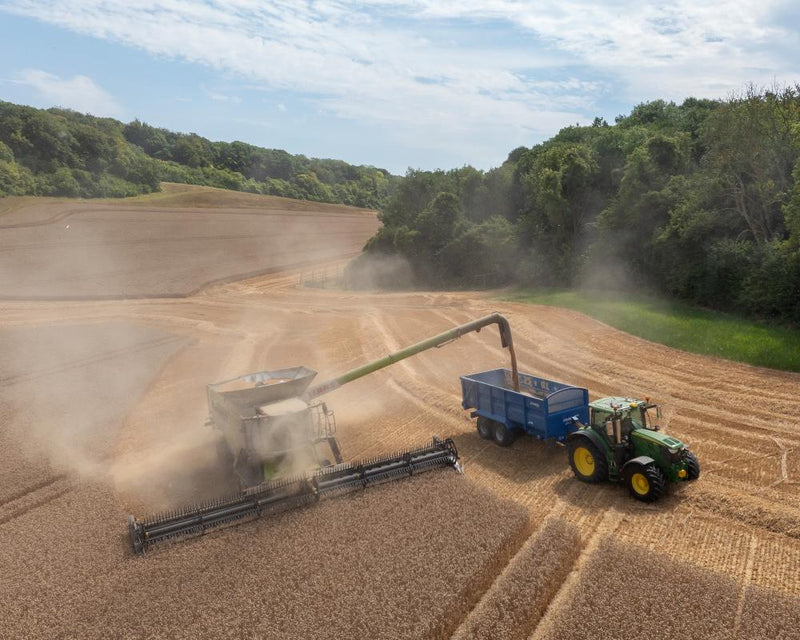 UK Agriculture Workers: How Heatwaves Impact Your Work
