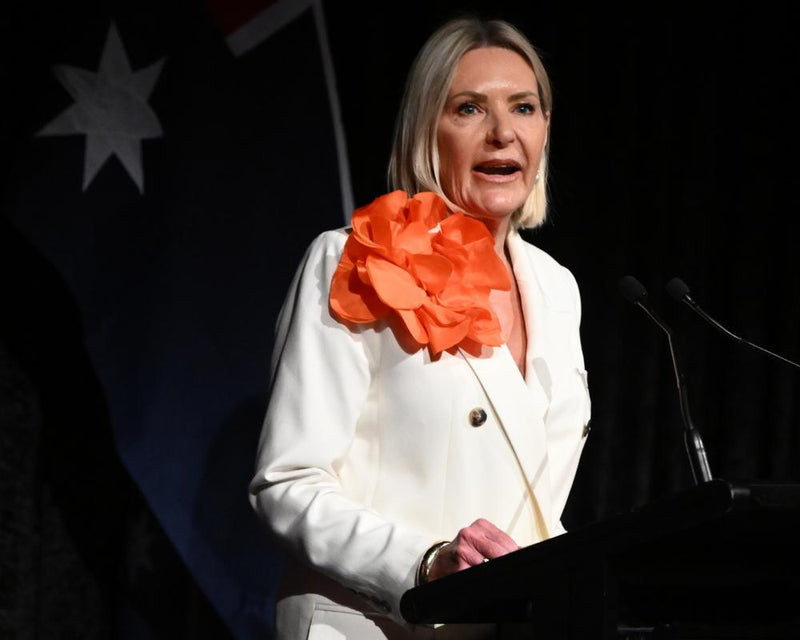 One Nation's $2,000 Baby Subsidy Plan for Victorian Parents