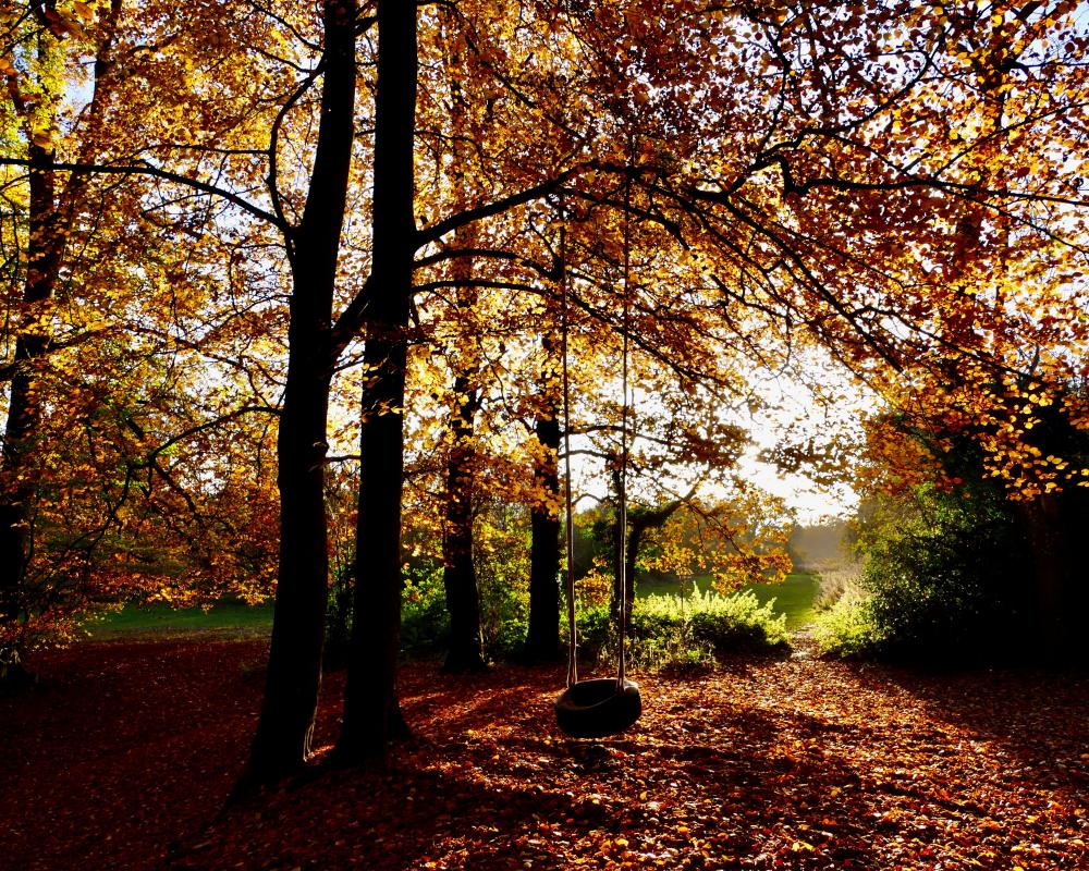 September Reset: Why Autumn Renewal Beats New Year Resolutions