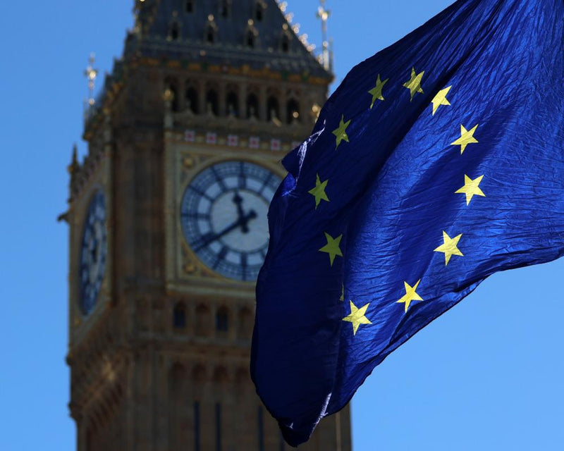 UK Seeks EU 'Made in Europe' Exemption in Trade Talks