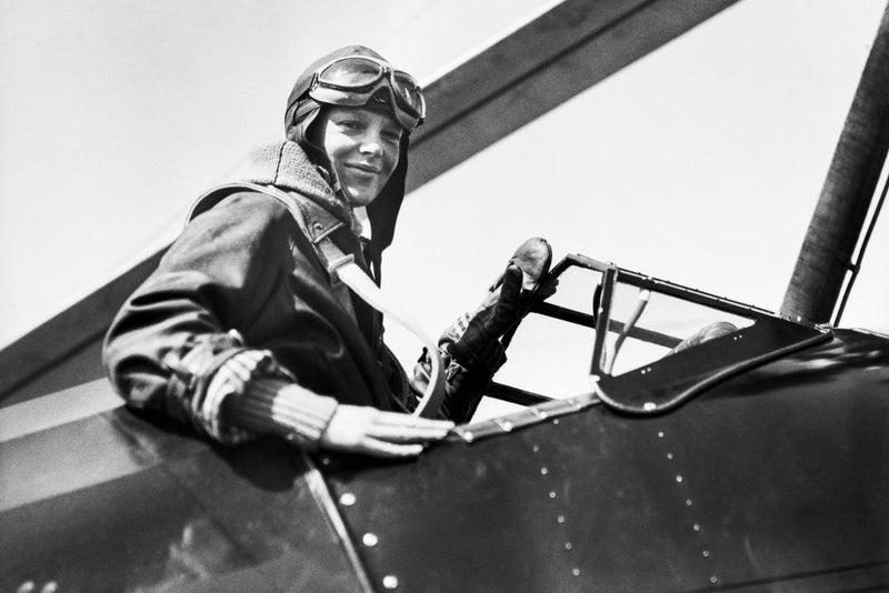 Amelia Earhart Search Ends as 'Plane Debris' Proves to Be Trees