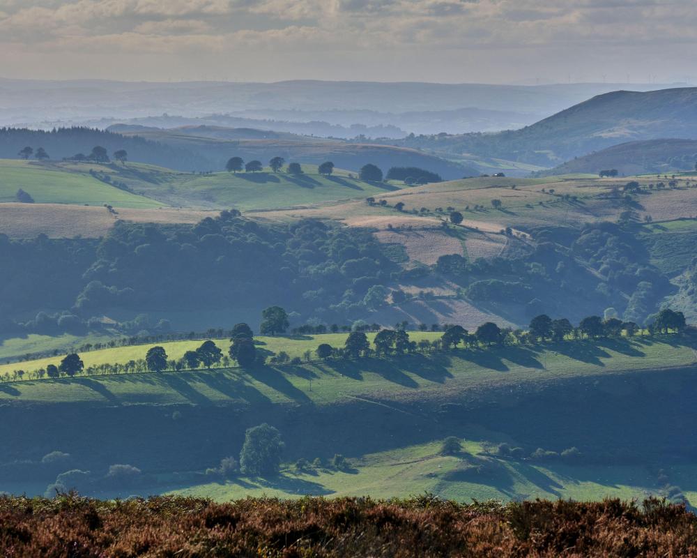 Shropshire Way: A Scenic Weekend Walking Adventure