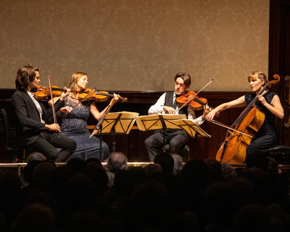 Mozart's Genius Unlocked: Teenager Cracks the Musical Code