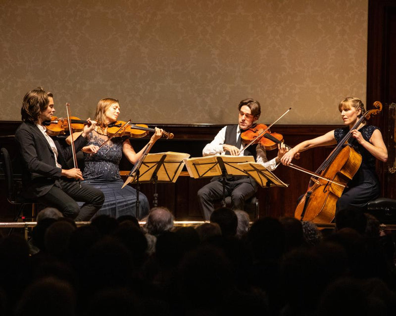 Mozart's Genius Unlocked: Teenager Cracks the Musical Code