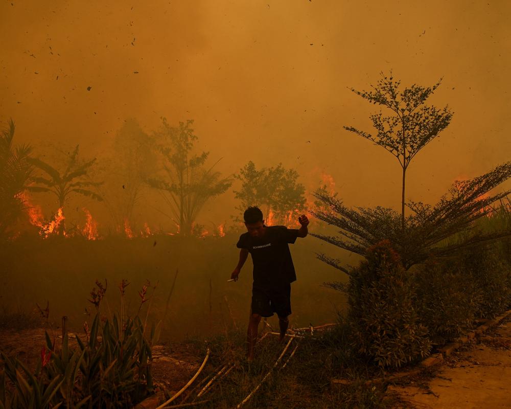 Indonesia Wildfire: El Niño Fuels Sumatra Blaze Destroying Homes
