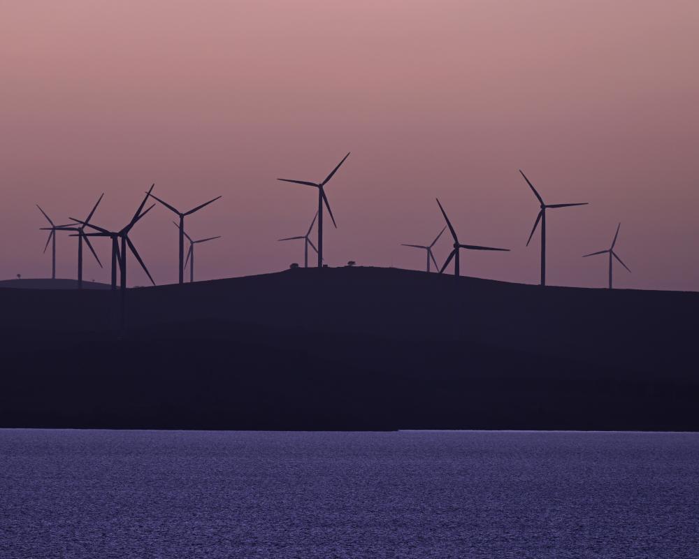 Green Energy Transition Faces Headwinds from Anti-Wind Campaigns