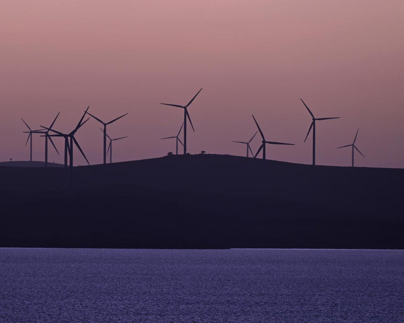 Green Energy Transition Faces Headwinds from Anti-Wind Campaigns