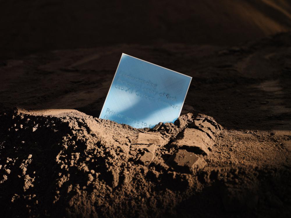 Buried Artworks in Sydney: Heap Exhibition Invites Public Dig