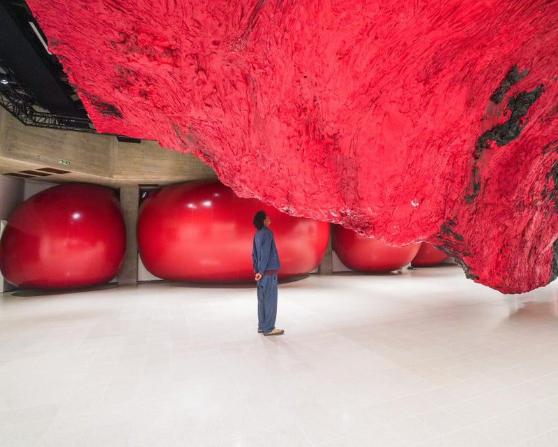 Anish Kapoor's Blockbusting Blobs: Summer Art Exhibition Guide