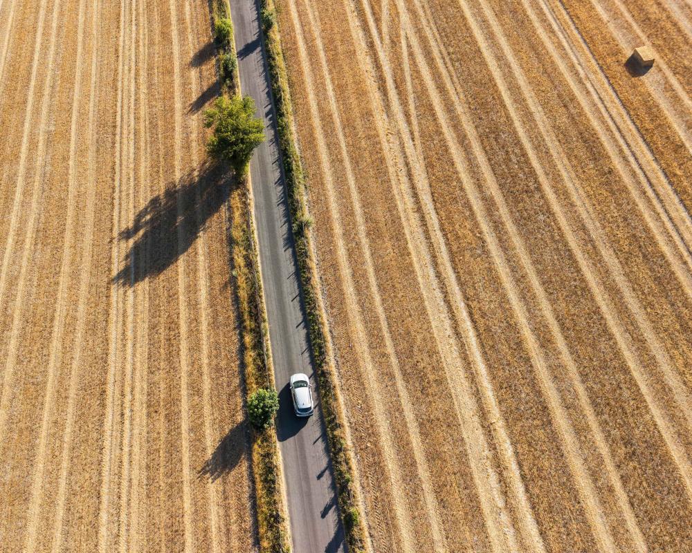Britain's Food Crisis: Government Ignores Strategic Reserves