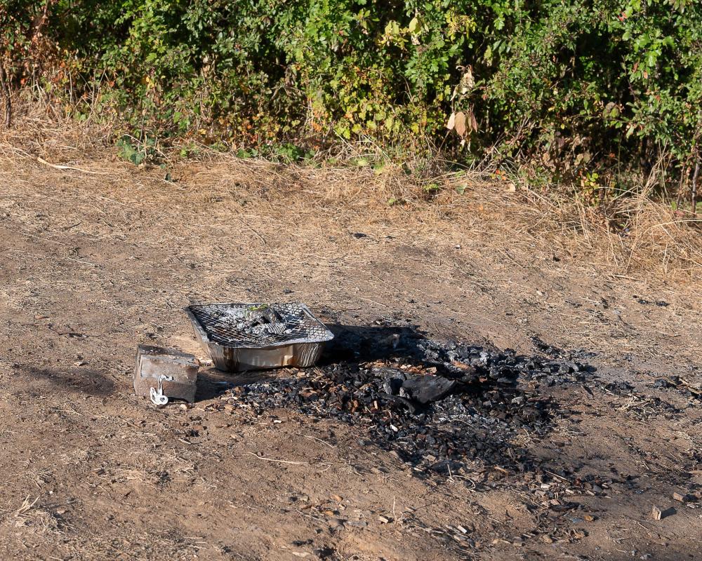Disposable Barbecue Ban in UK: Wildfire Safety Measures