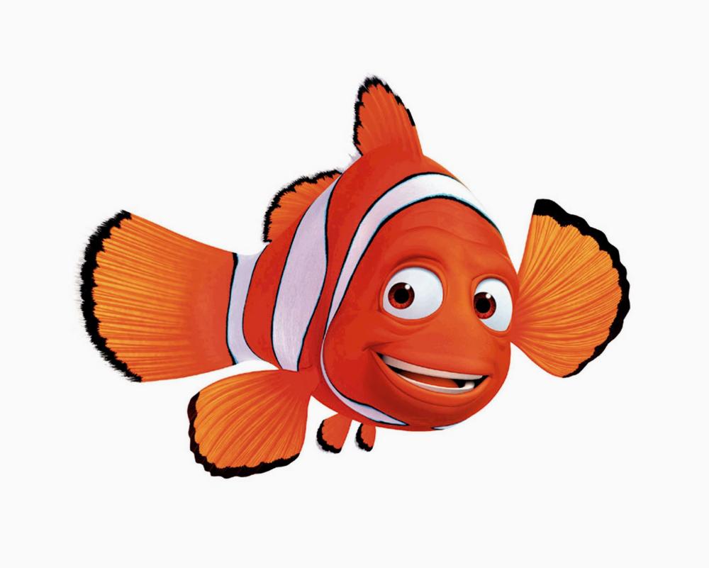 Fish Tank Puzzle Solved: Top View Shortest Path