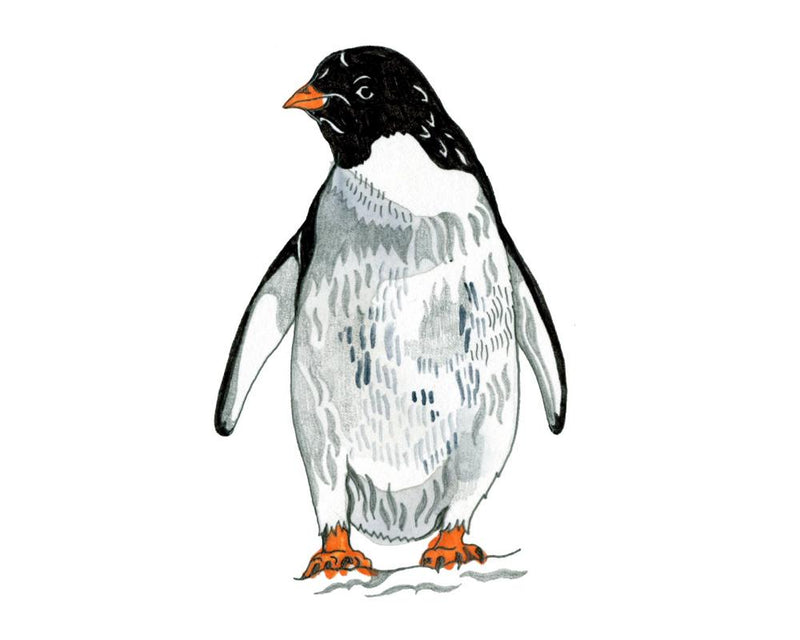 Penguins Can't Fly and Buses Lack Seatbelts: Kids' Quiz Answers