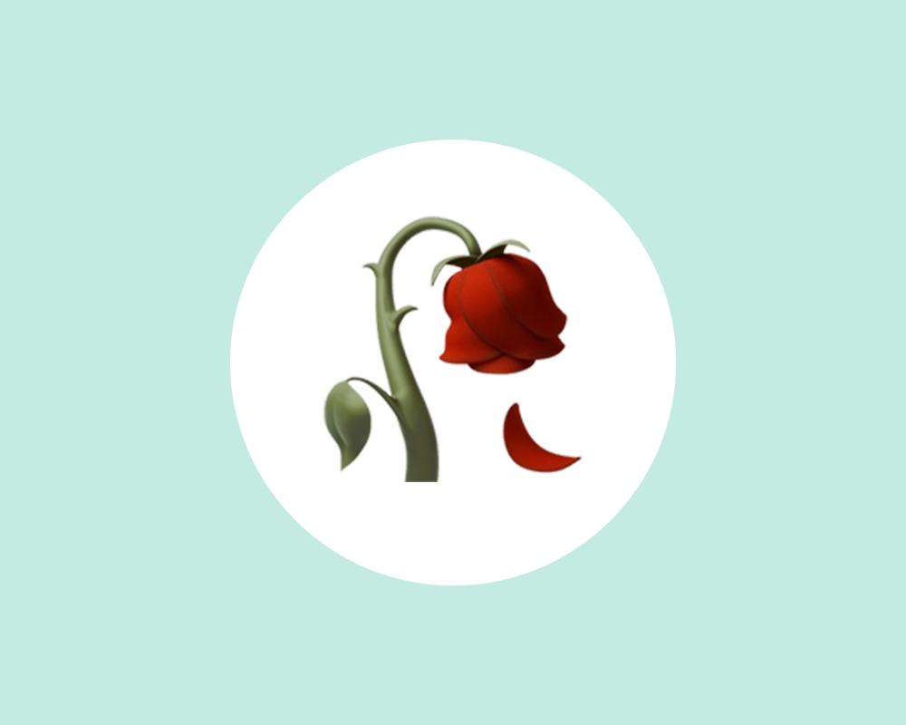 Wilting Rose Emoji: Gen Alpha's Symbol of Sadness