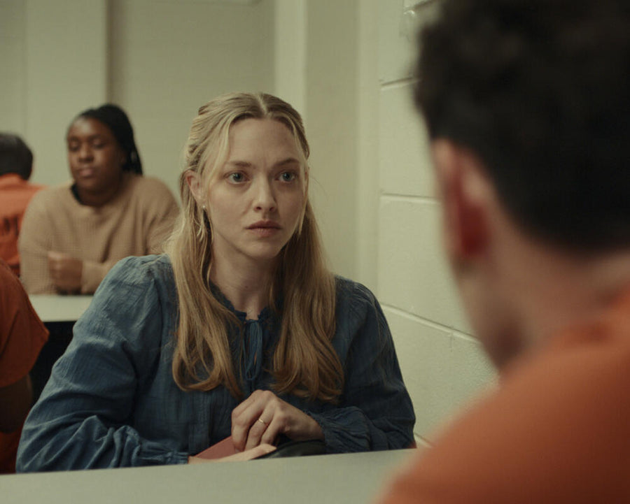 Amanda Seyfried Compels in Wilson Shedd Prison Drama Review
