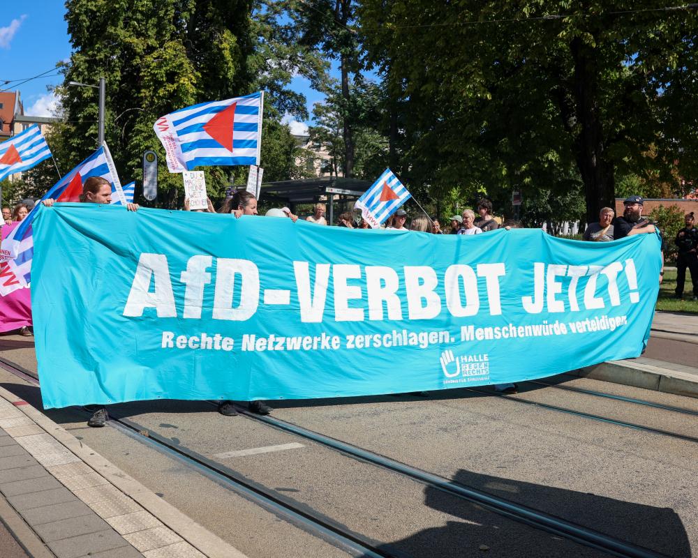 AfD Threat to German Democracy: A Citizen's Faith Endures