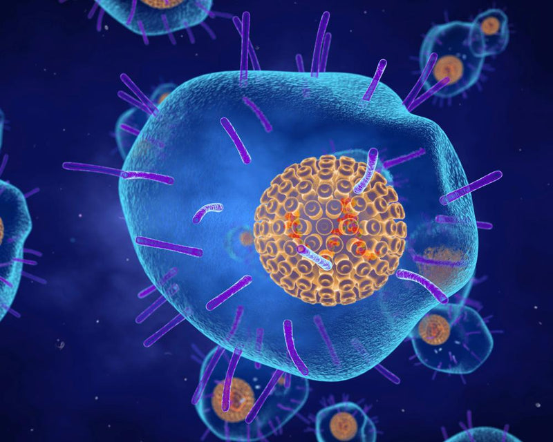 Shingles Vaccine Lowers Heart Attack and Stroke Risk