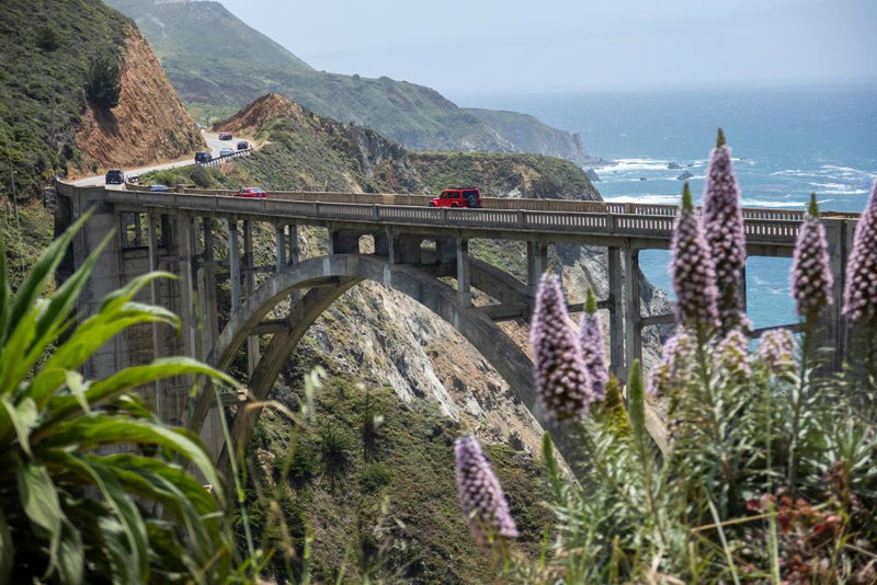 Big Sur Overtourism Crisis: Wildfires and Tourist Deaths