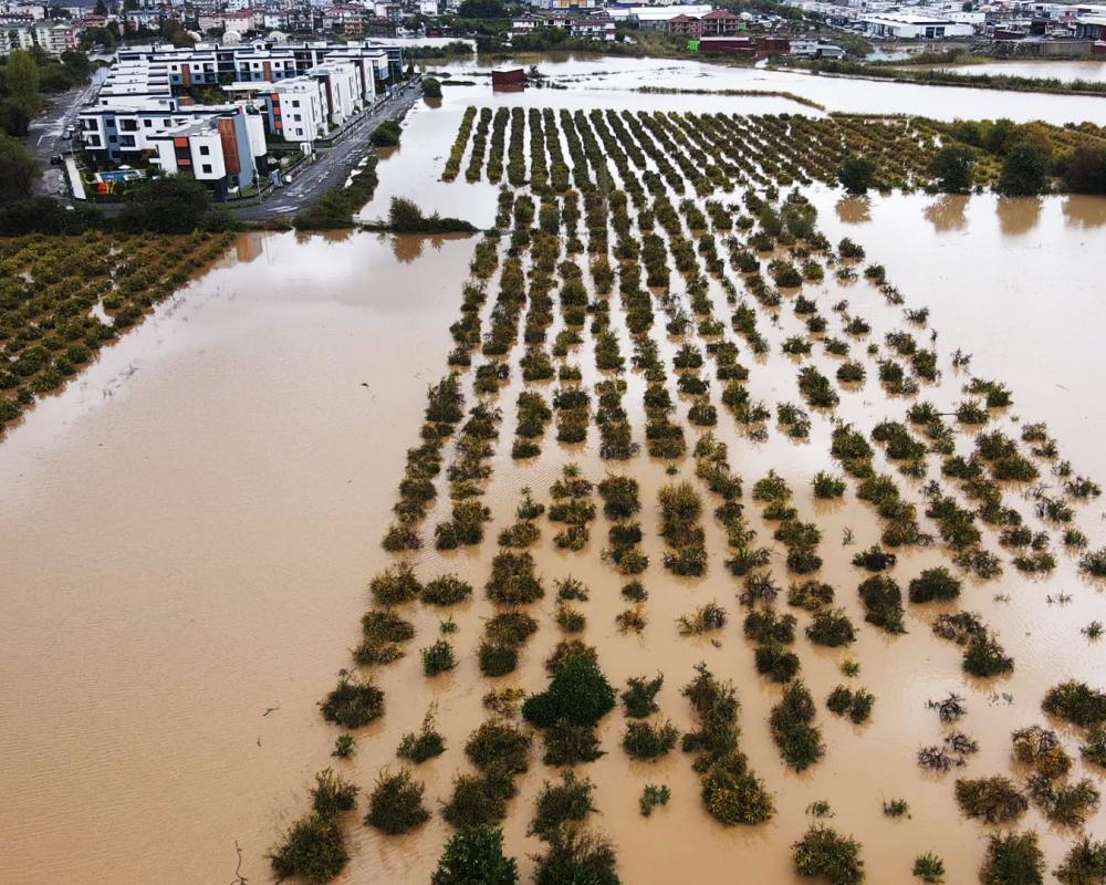 Severe Rainfall and Flood Warnings Hit Greece and Turkey