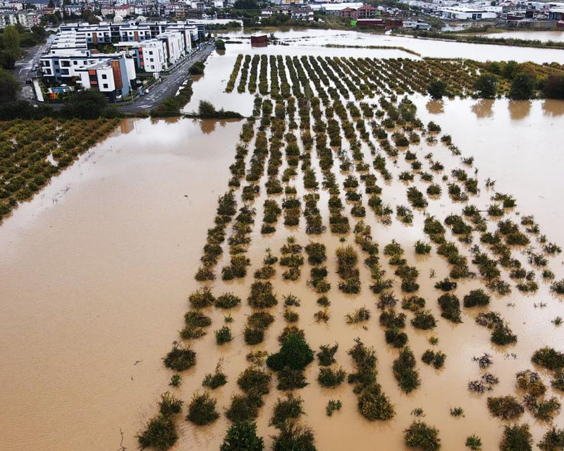 Severe Rainfall and Flood Warnings Hit Greece and Turkey