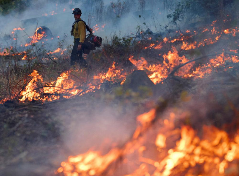 California Lucas Fire Containment Reaches 30% as Crews Advance