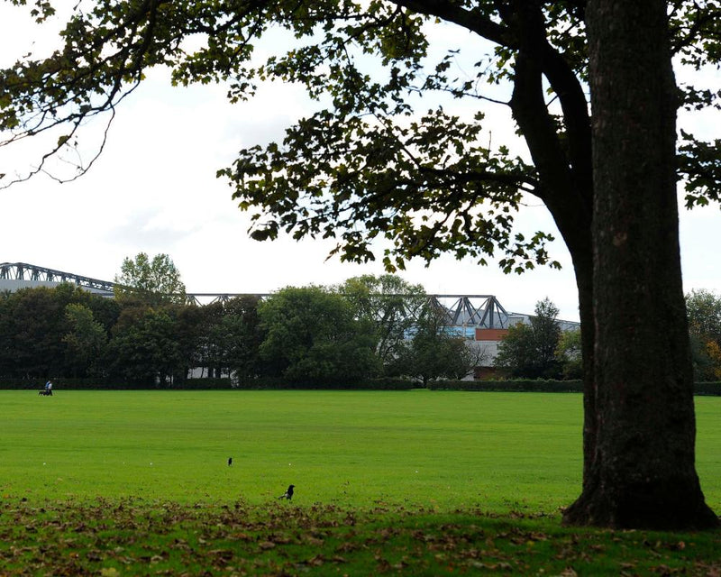 Police Appeal After Woman's Body Found in Liverpool Park