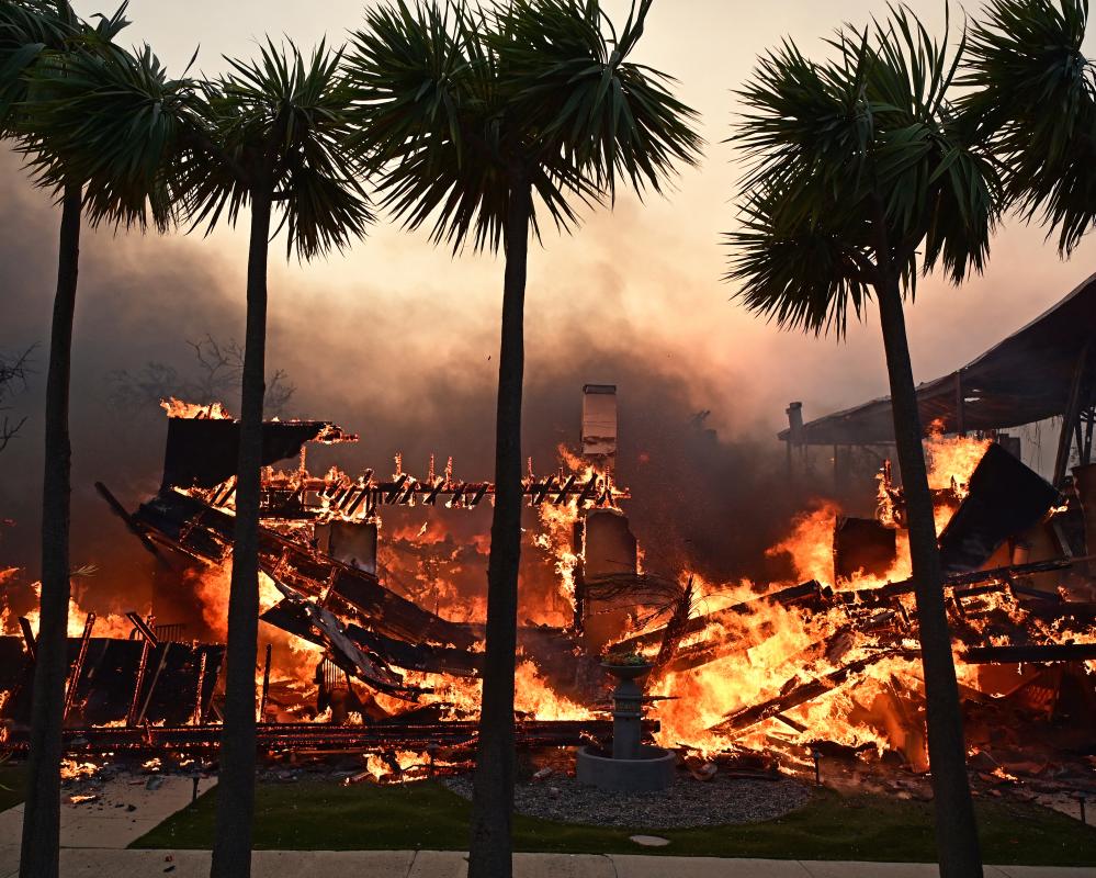 Wildfire Betting Crackdown Urged by US Senators Amid Arson Risk