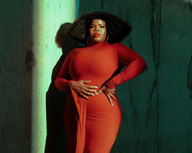 Danielle Ponder: Lawyer Turned Singer Rooting for a Better World