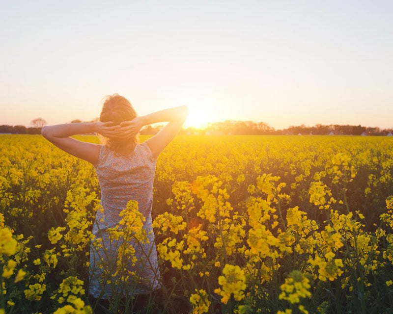 How to Say Yes to Joy: A Guide to Living Well