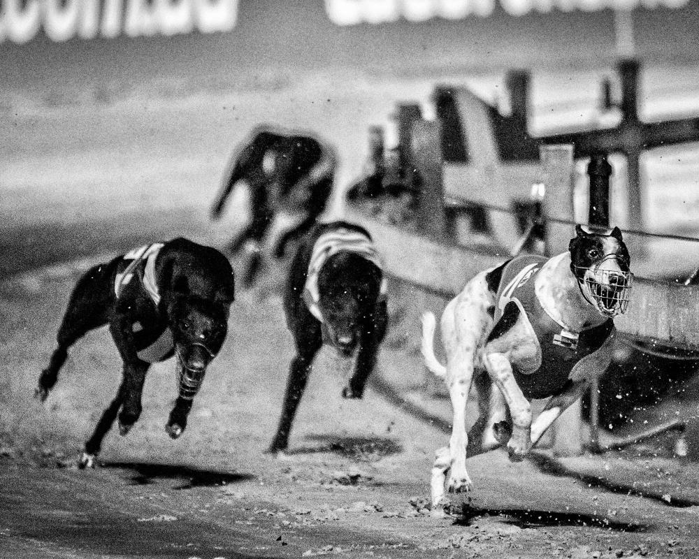 Underdogs Book Review: A Powerful Debut with Northern Soul