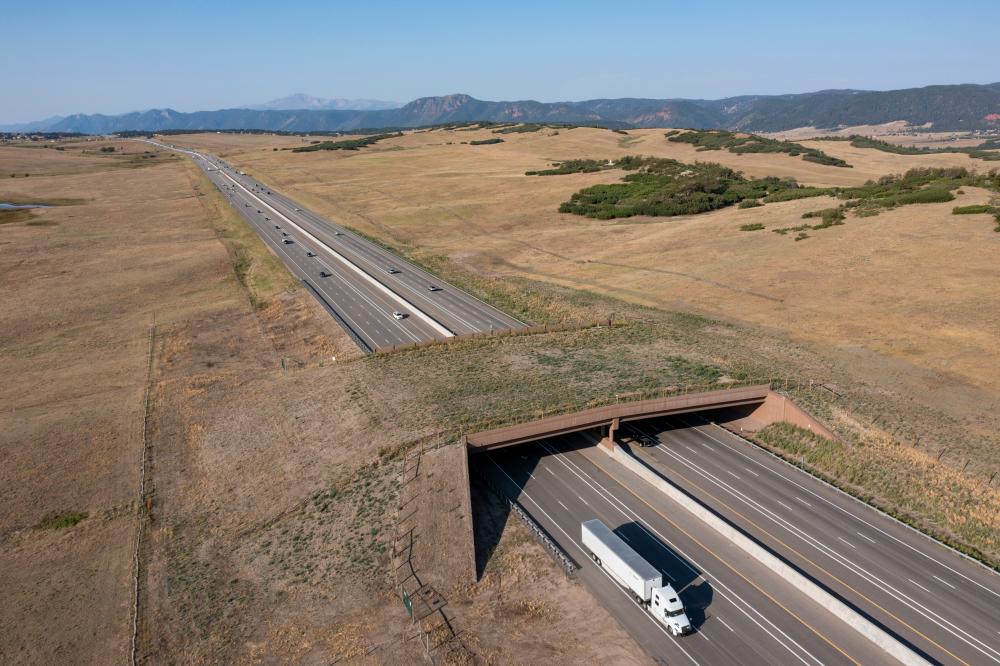 Colorado Wildlife Overpass Cuts Vehicle-Animal Collisions by 91%