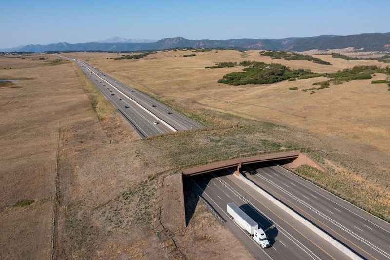 Colorado Wildlife Overpass Cuts Vehicle-Animal Collisions by 91%