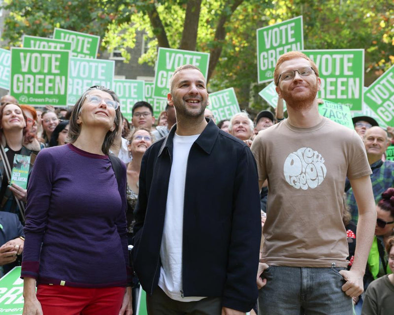 Green Party's Future: Should It Embrace Socialism
