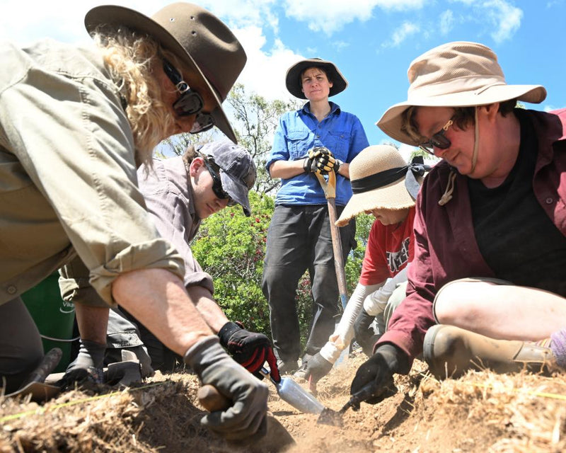 Queensland Police Officer's Buried Secrets: Dig Uncovers Truth