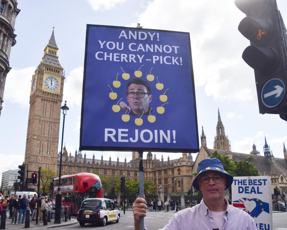 UK Rejoin EU Poll: Half of Voters Support Return, Labour Vote