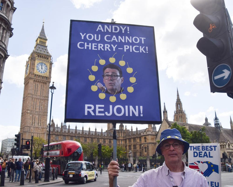 UK Rejoin EU Poll: Half of Voters Support Return, Labour Vote