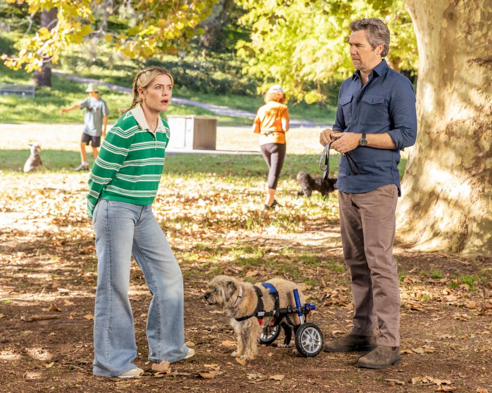 Colin From Accounts Finale: Why Its Comedy Ending Resonates