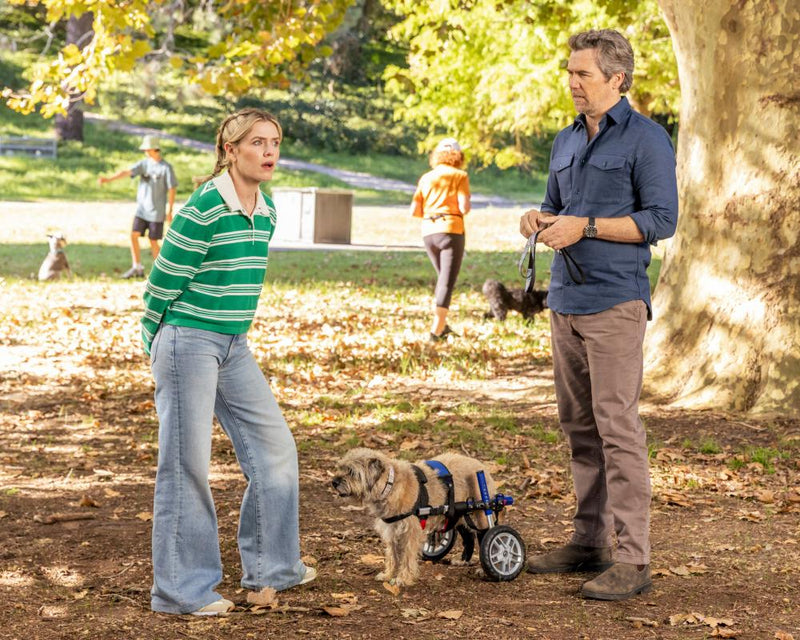Colin From Accounts Finale: Why Its Comedy Ending Resonates