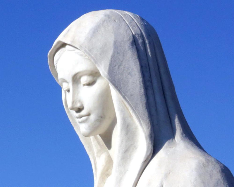 Thursday News Quiz: Clacton Zero, Departed Hero, and Virgin Mary