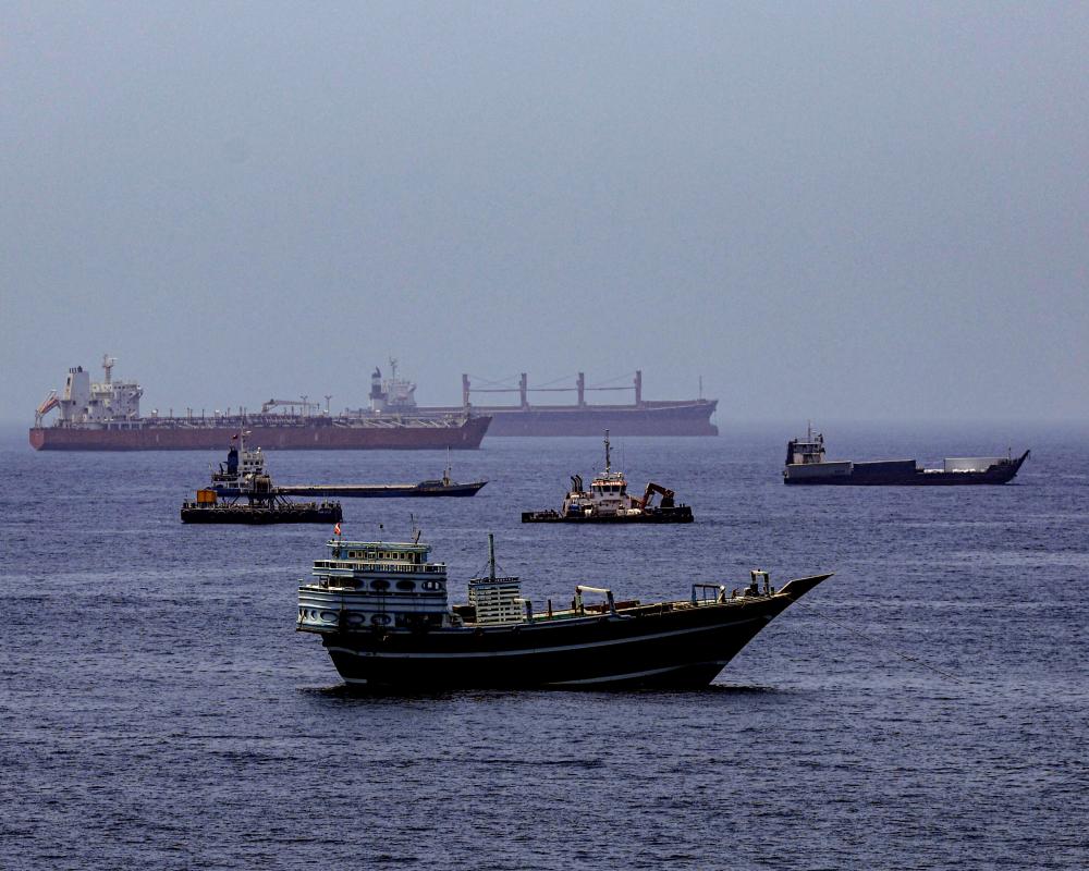 Strait of Hormuz Ship Stranding Sparks Bio-Invasion Threat
